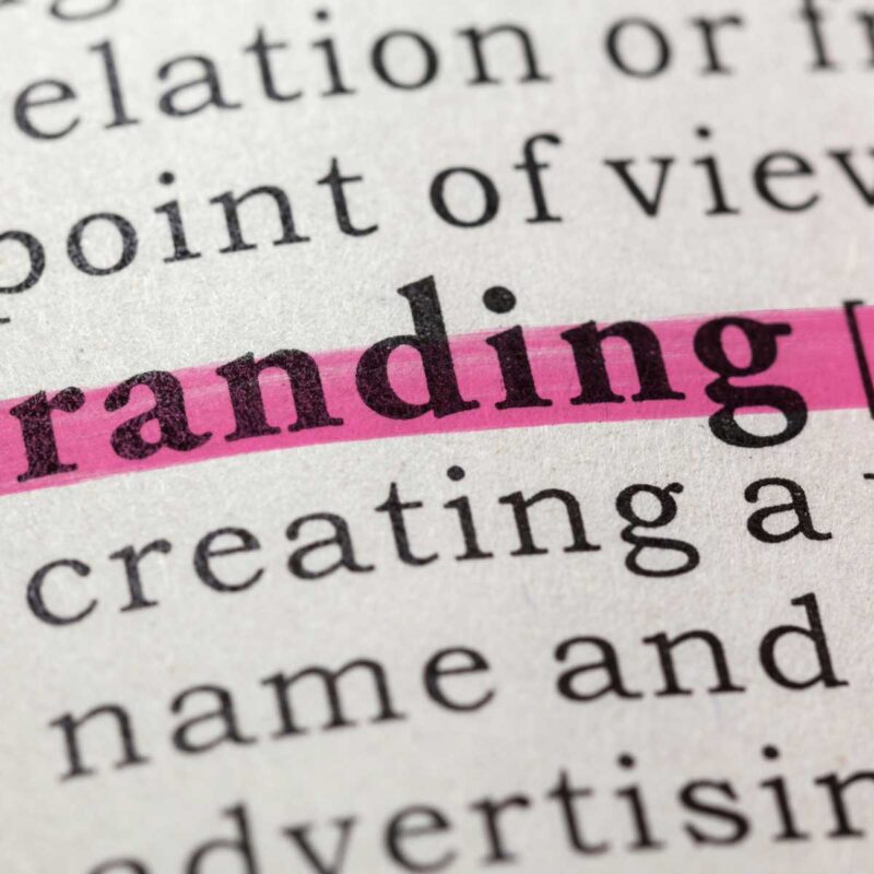Is Stock or Professional Photography the Best Choice for Your Website Branding?